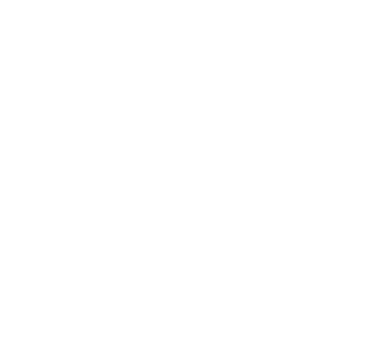 Capri Construction Logo